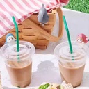 Mofusand猫福珊迪趴趴盲盒