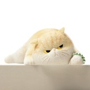 故宫淘宝｜趴趴猫桌面汽车猫咪摆件手办生日礼物博物馆文创伴手礼 